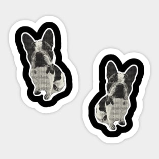 French Bulldog Pattern Sticker